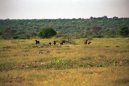 NAM_01_025