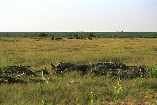 NAM_01_028