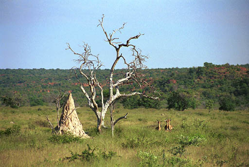 NAM_01_034