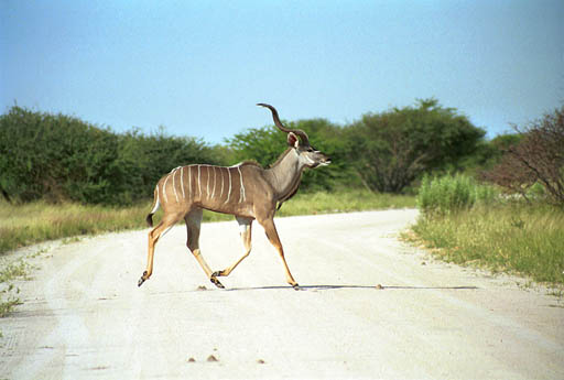 NAM_02_033