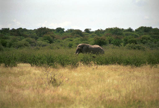 NAM_03_015