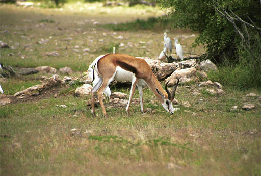 NAM_03_024