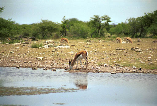 NAM_03_025