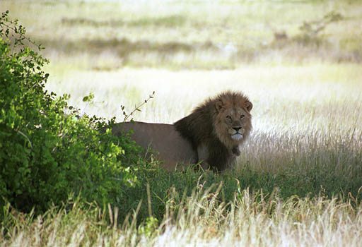 NAM_05_019
