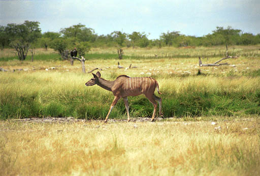 NAM_05_033
