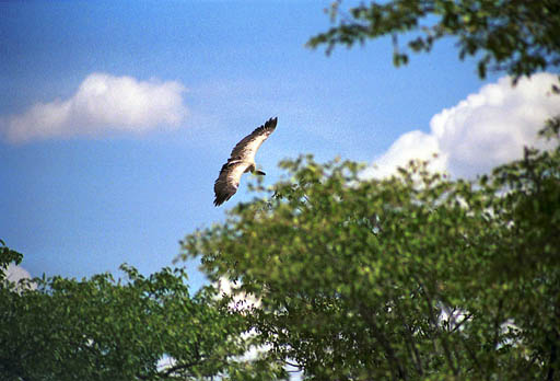 NAM_06_005