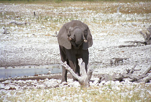 NAM_06_010