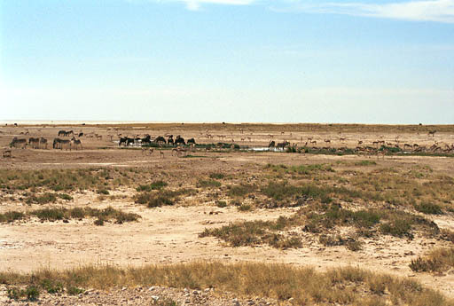 NAM_07_009