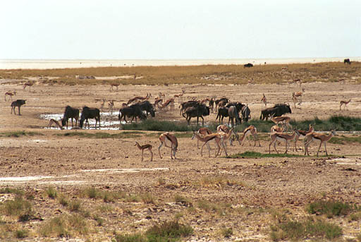 NAM_07_010