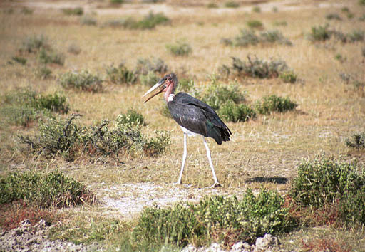 NAM_08_003