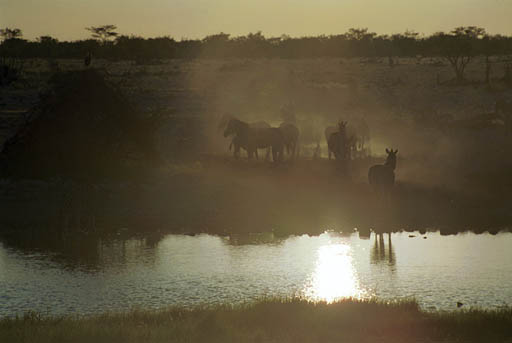 NAM_08_015