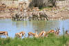 NAM_07_024