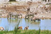 NAM_07_027