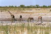 NAM_07_035