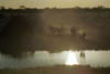 NAM_08_015