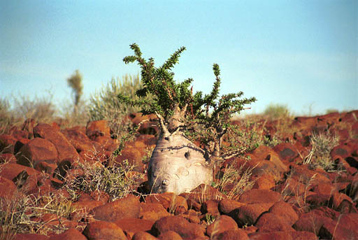 NAM_12_025