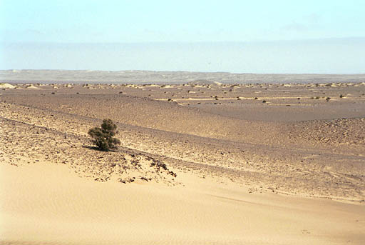 NAM_13_012