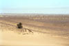 NAM_13_012