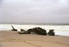 NAM_13_019
