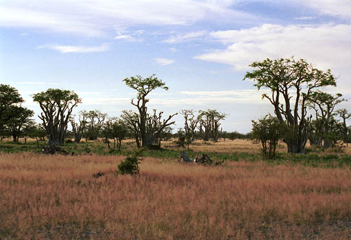 NAM_07_001