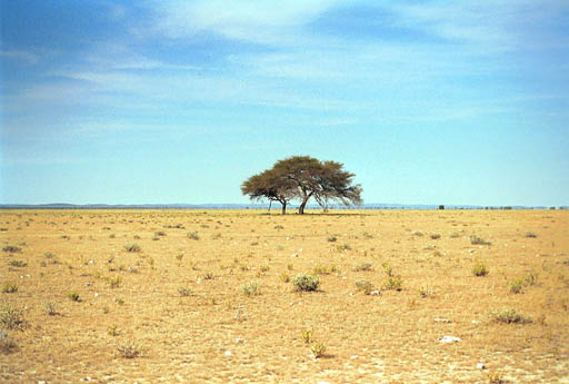 NAM_07_008